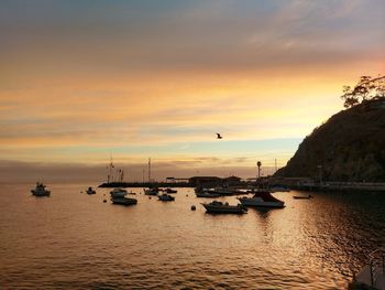 Boats moored in sea against sky during sunset