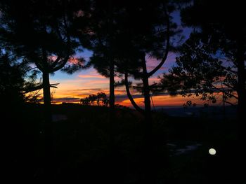 Silhouette trees on landscape against sky at sunset