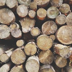 Full frame shot of logs