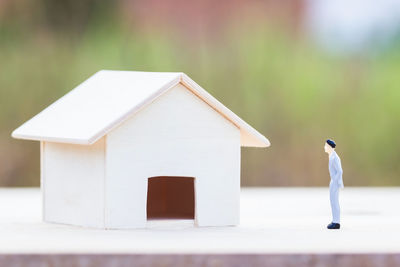 Close-up of bird on white building