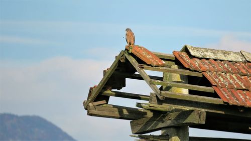 Low angle view of roof against sky