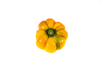 Close-up of yellow fruits against white background