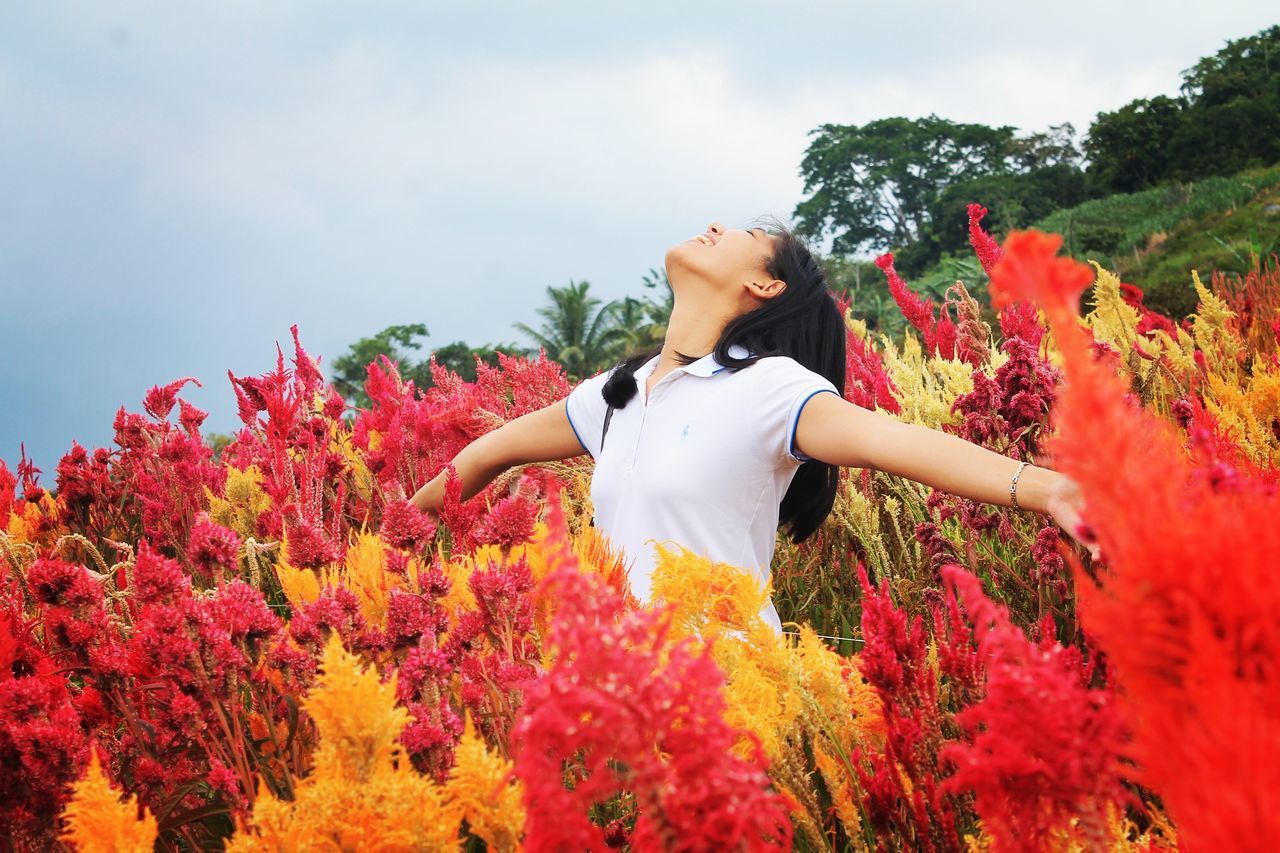 flower, growth, rear view, nature, plant, beauty in nature, red, tree, real people, lifestyles, field, outdoors, day, one person, blossom, sky, fragility, flower head, people