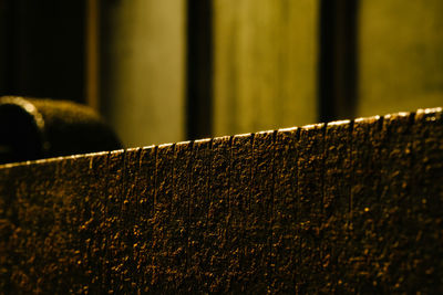 Close-up of plant against blurred background