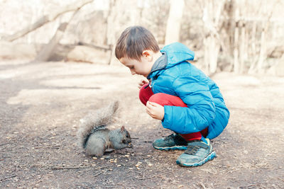 Cute caucasian boy feeding grey squirrel in park.  kid giving food nuts to wild animal in forest