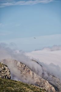 Airplane flying in sky