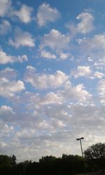 Low angle view of trees against sky