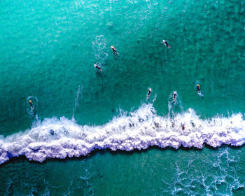 High angle view of people surfing on sea