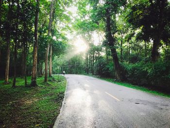 Road amidst trees in forest