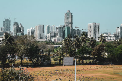 Trees and buildings in city against sky