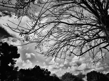 Low angle view of silhouette tree against sky