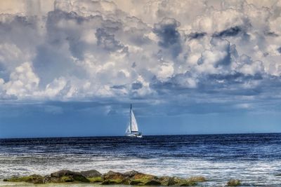 Sailboat sailing on sea against sky