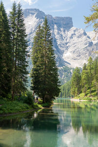 Scenic view of lake amidst trees in forest