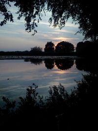 Silhouette of trees at sunset