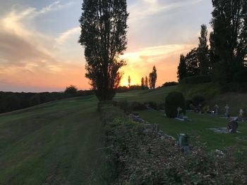 Scenic view of field against sky during sunset