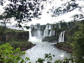 Scenic view of waterfall in forest