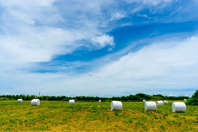 Hay bales on field against sky