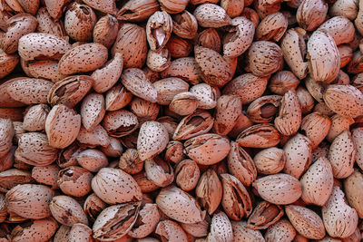 Lots of unpeeled almonds at the farmers market stall.