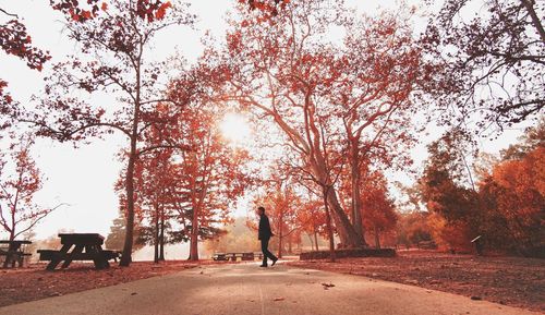 People walking in park during autumn