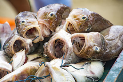 Close-up of fish for sale in market