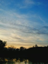 Silhouette trees against sky during sunset