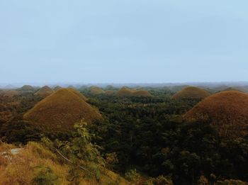 Scenic view of landscape against clear sky