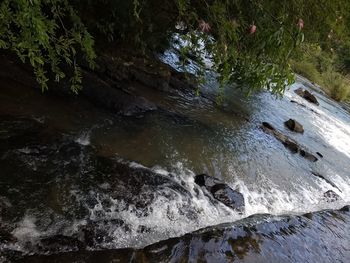 High angle view of waterfall in forest