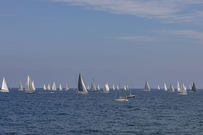 Sailboats sailing in sea against sky