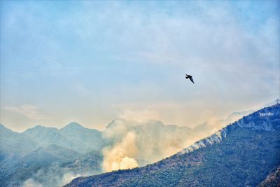 Bird flying over mountains against sky