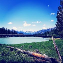 Scenic view of lake against blue sky