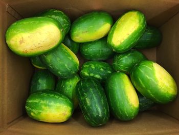 Close-up of vegetables