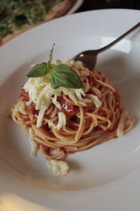 Close-up of served food