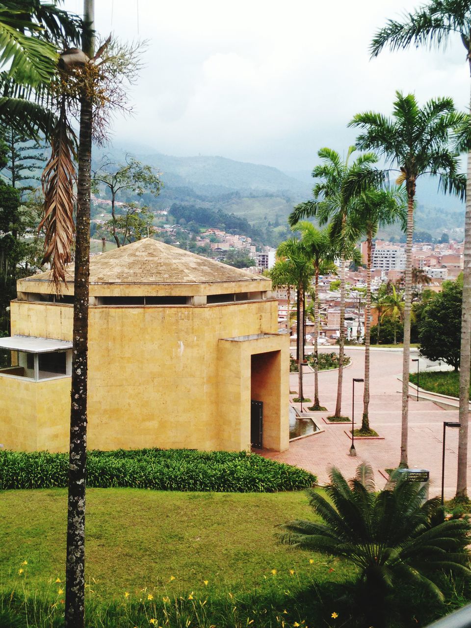 building exterior, architecture, built structure, tree, house, sky, palm tree, mountain, residential structure, residential building, green color, growth, grass, town, plant, nature, residential district, day, no people, outdoors