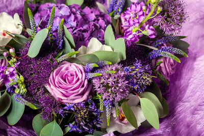 High angle view of purple flowering plant