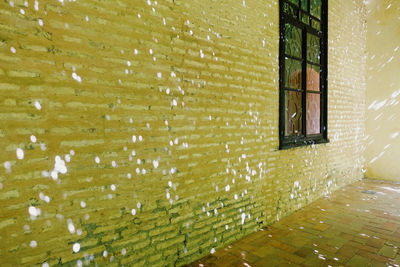 Window on wall of building