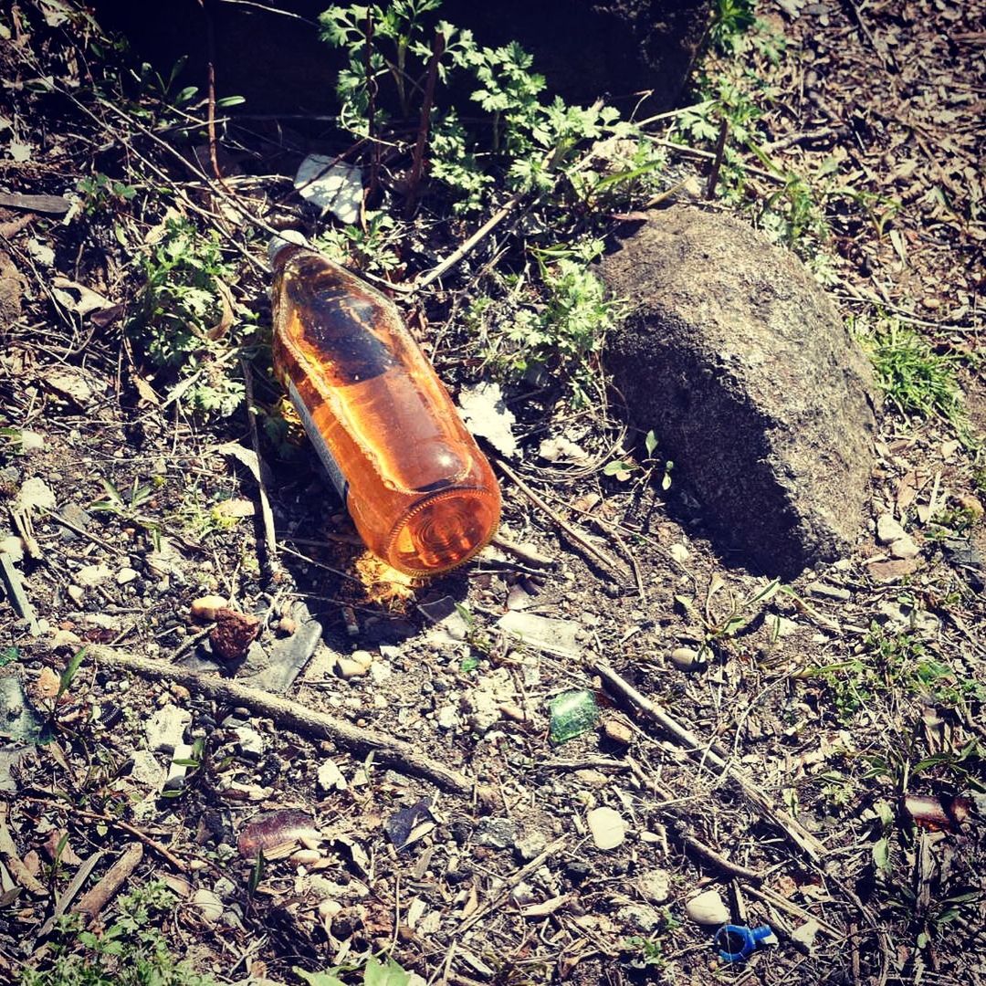 high angle view, abandoned, grass, field, plant, growth, nature, outdoors, sunlight, damaged, day, ground, no people, close-up, forest, leaf, obsolete, old, shoe, dirt