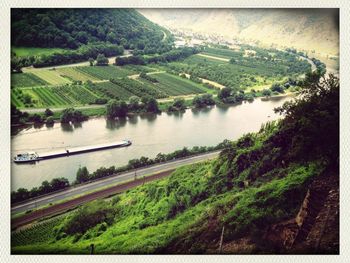 Scenic view of rural landscape