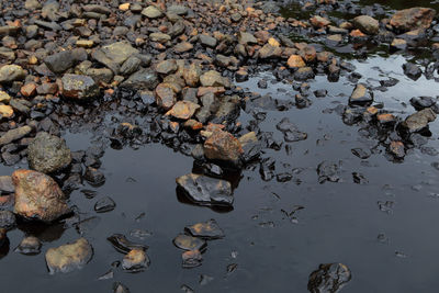 High angle view of rocks floating on lake