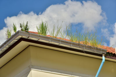 Low angle view of building against sky