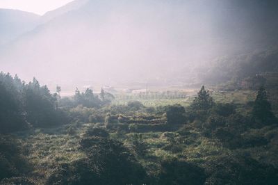 Scenic view of landscape against sky