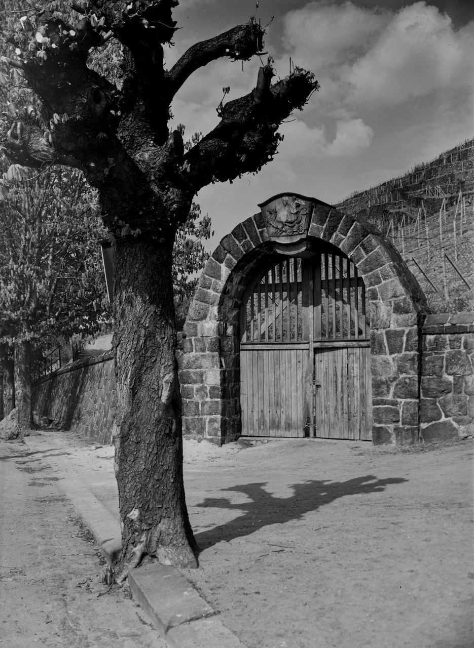 TREE IN FRONT OF HISTORIC BUILT STRUCTURE