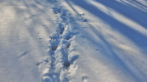 High angle view of footprints on snow covered field