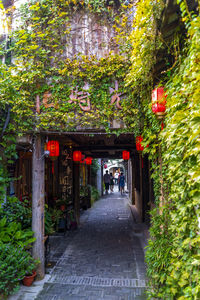 Narrow footpath amidst buildings in city