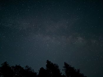 Low angle view of silhouette trees against star field at night