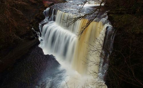 Waterfall in forest