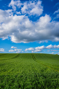 Scenic view of agricultural field against sky