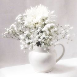 Close-up of white flowers