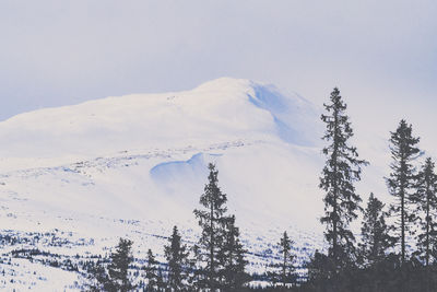 Scenic view of snow covered mountain against sky