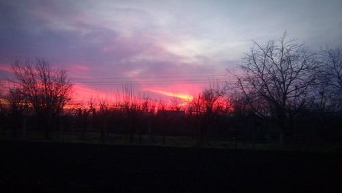 Trees on landscape against sunset sky