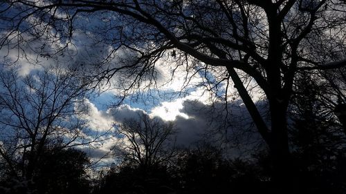 Low angle view of silhouette bare trees against sky